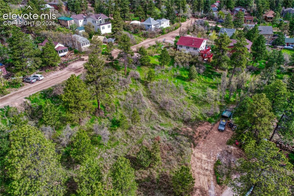 Buena Vista Avenue, Palmer Lake, CO 80133 — photo 2