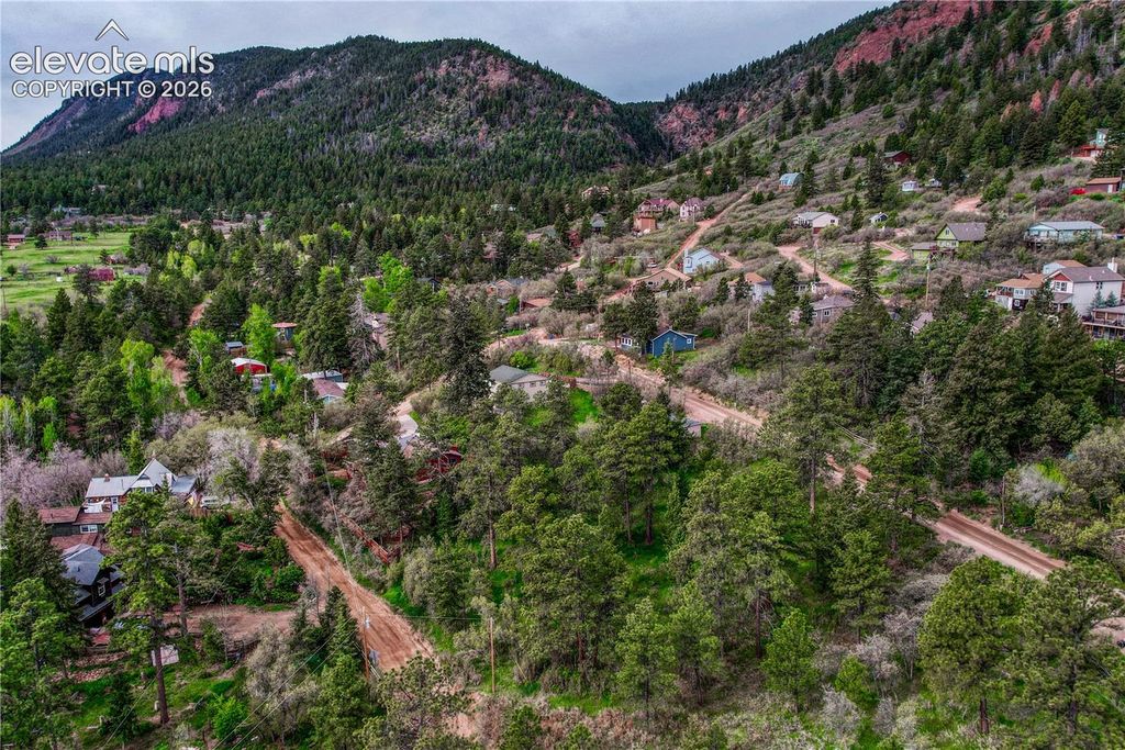 Buena Vista Avenue, Palmer Lake, CO 80133 — photo 3