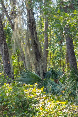 2160 Royal Pine Drive, Seabrook Island, SC 29455