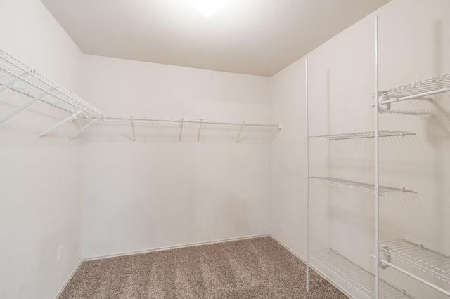 11328 Hungry Horse DR, Manor, TX 78653