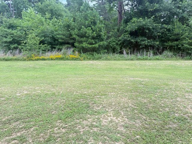 225 County Road 2157, Quitman, TX 75783
