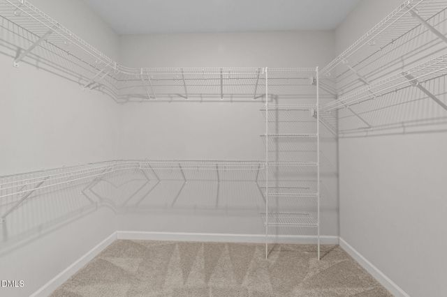 423 Oak Branch Trail, Garner, NC 27529