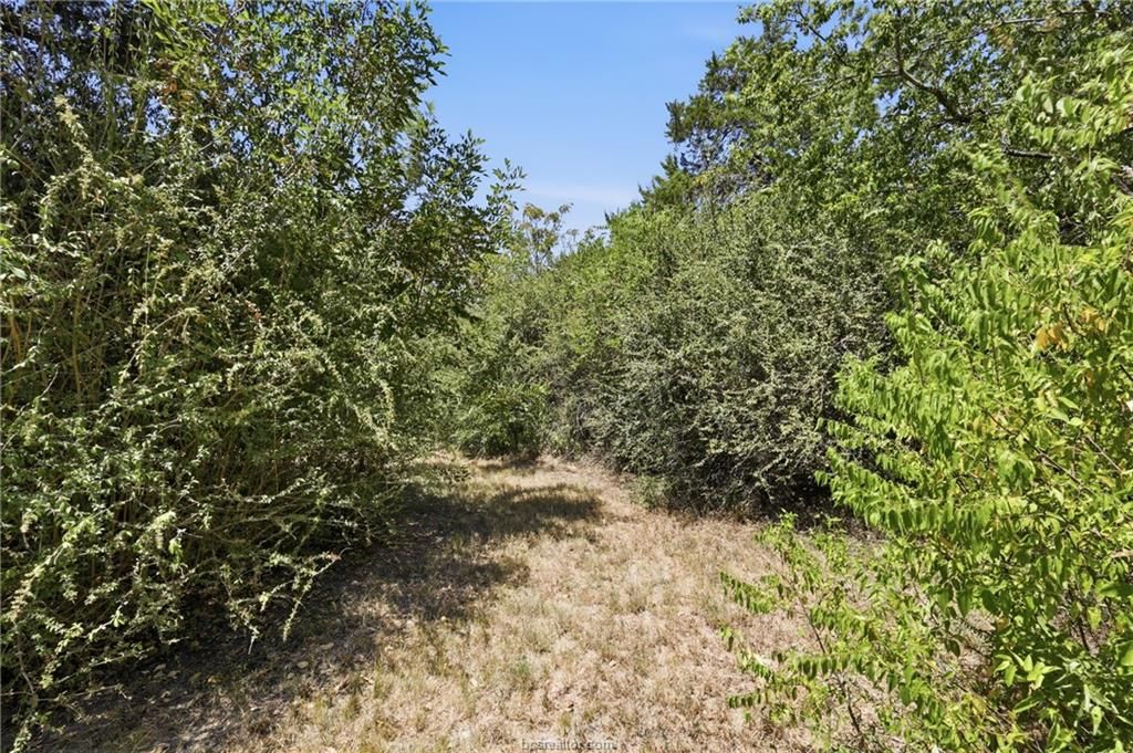 1308 North Sims Avenue, Bryan, TX 77803 — photo 5