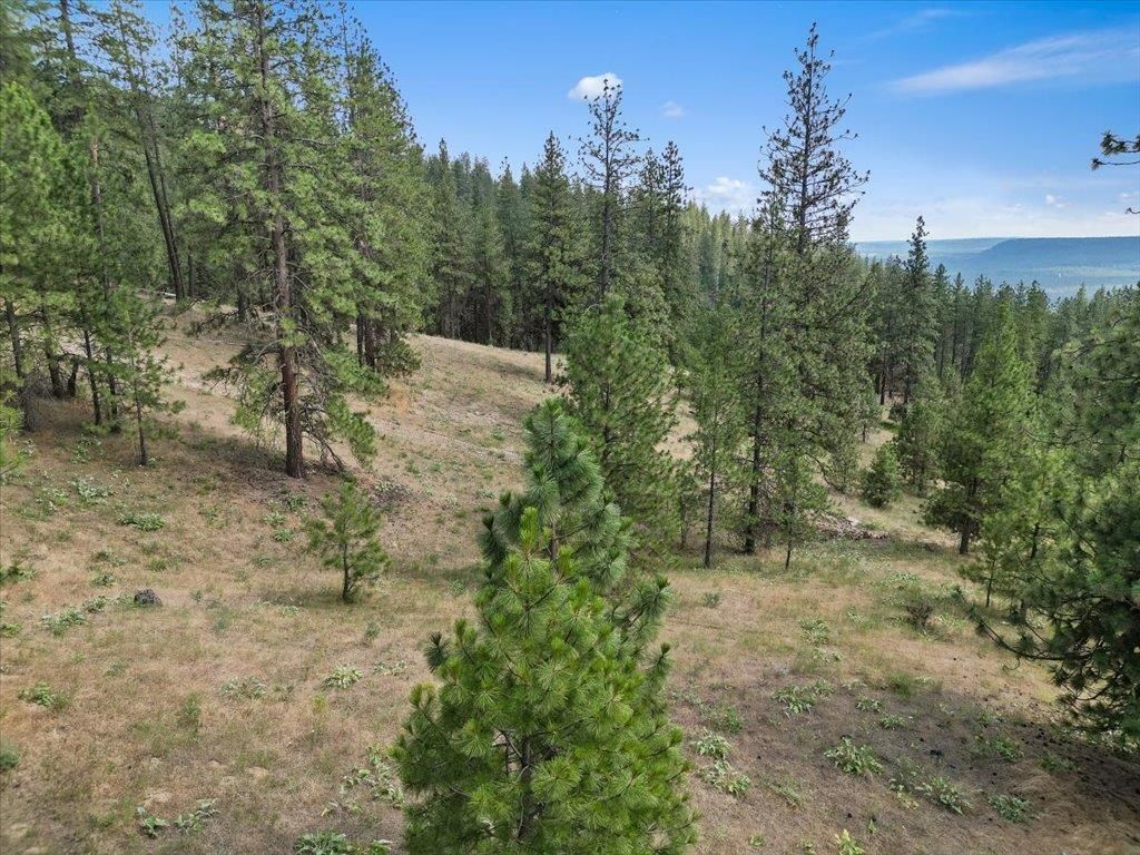 NKA Weaver Way, Deer Park, WA 99006 photo 11