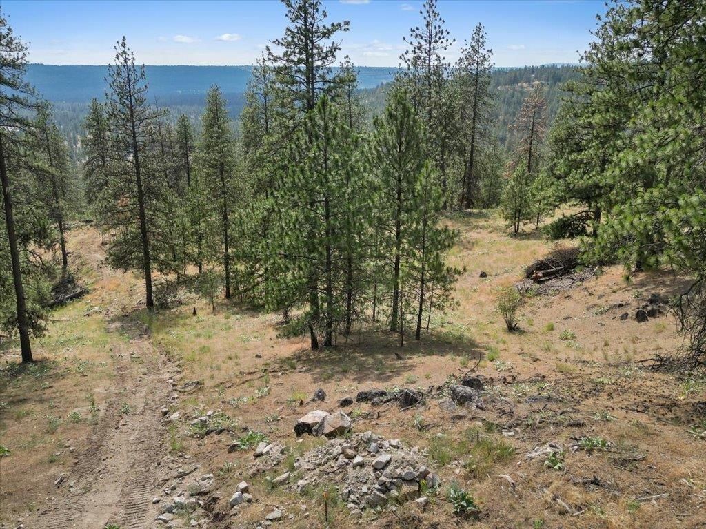 NKA Weaver Way, Deer Park, WA 99006 photo 12