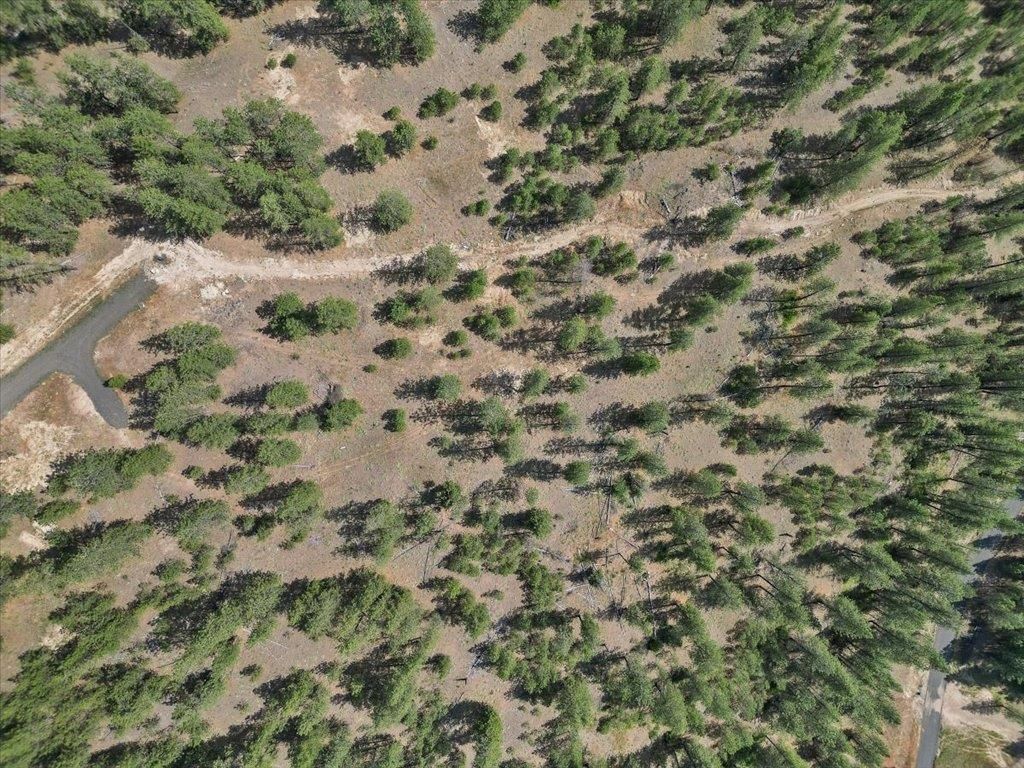 NKA Weaver Way, Deer Park, WA 99006 photo 14