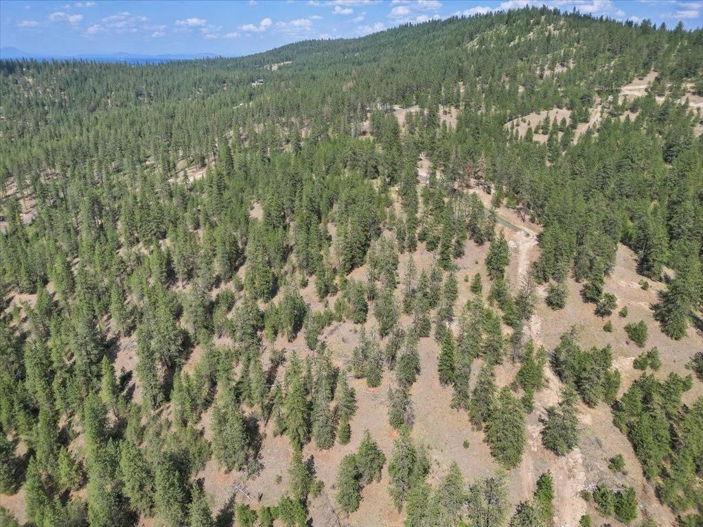 NKA Weaver Way, Deer Park, WA 99006 photo 4