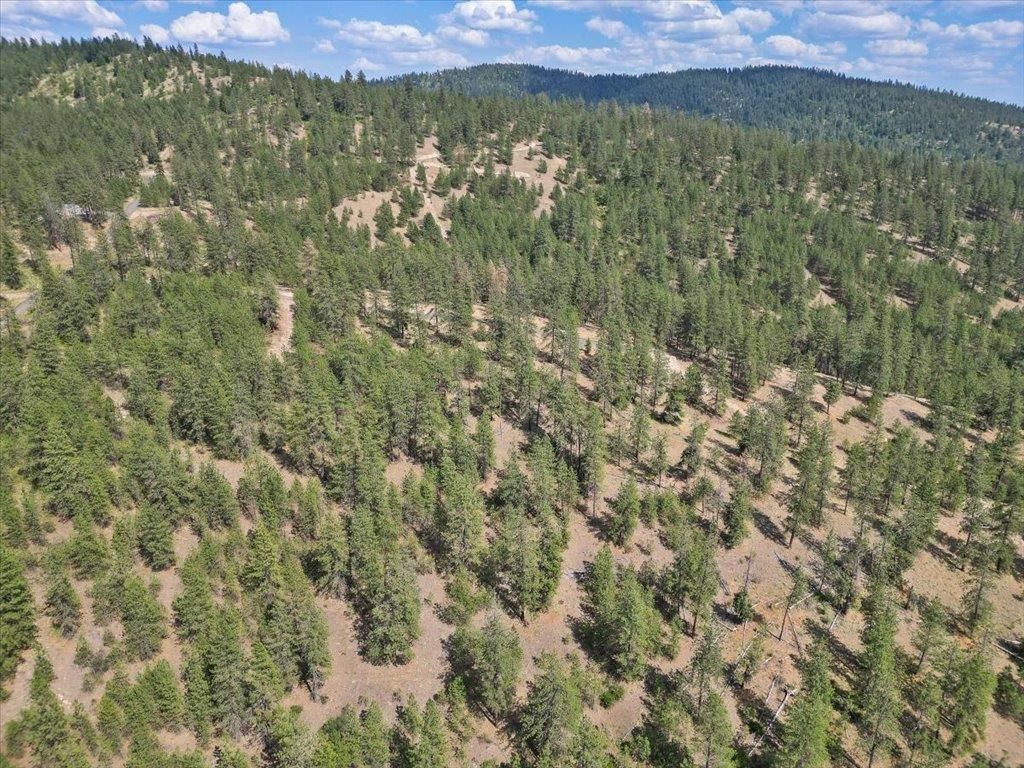 NKA Weaver Way, Deer Park, WA 99006 photo 5