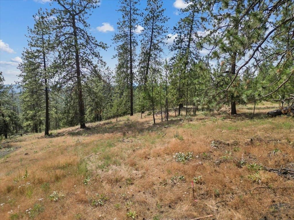 NKA Weaver Way, Deer Park, WA 99006 photo 6