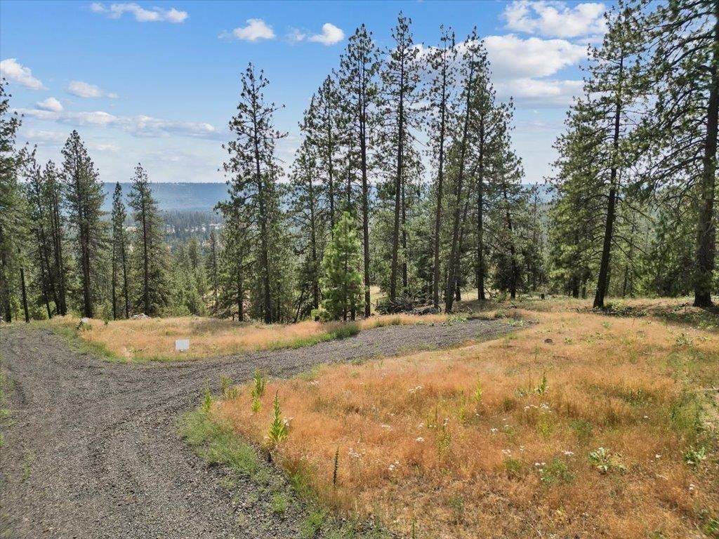 NKA Weaver Way, Deer Park, WA 99006 photo 7