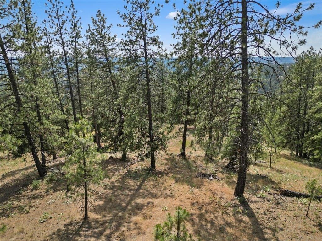 NKA Weaver Way, Deer Park, WA 99006 photo 8