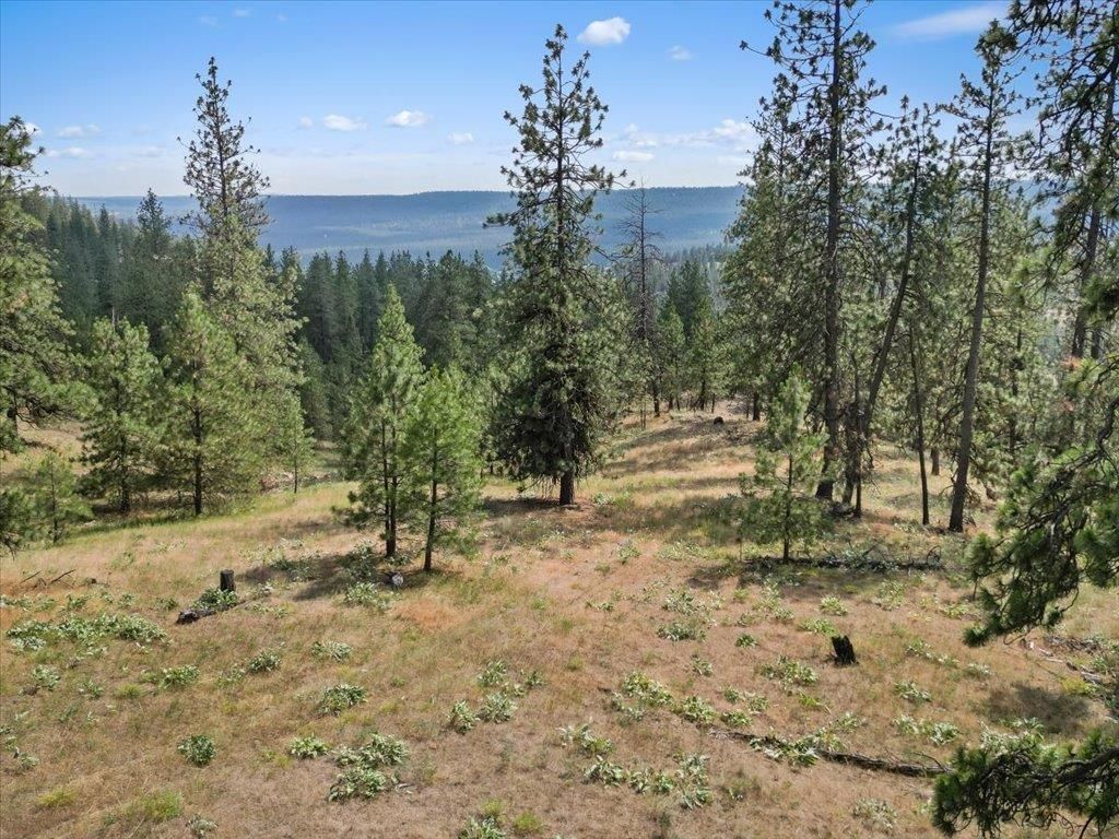 NKA Weaver Way, Deer Park, WA 99006 photo 10