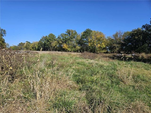 16003 E Katy Track Road, Nevada, MO 64772