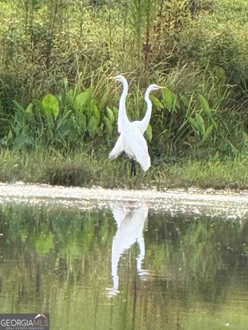 1191 Aderhold Rogers Road, Commerce, GA 30530