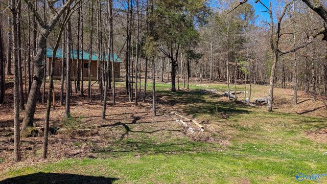 1409 Dug Hill Road, Brownsboro, AL 35741