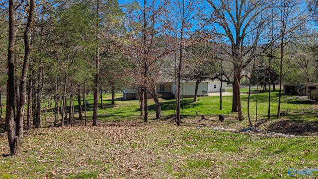 1409 Dug Hill Road, Brownsboro, AL 35741