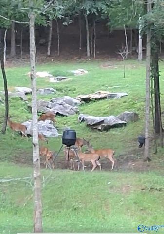 1409 Dug Hill Road, Brownsboro, AL 35741