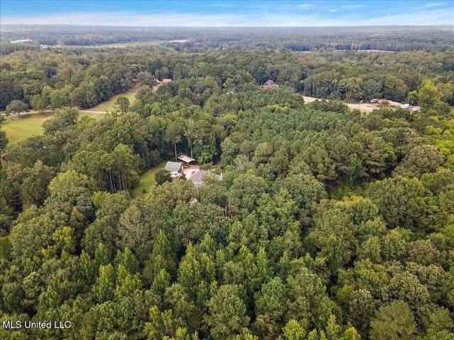 111 Thornton Place, Brandon, MS 39042