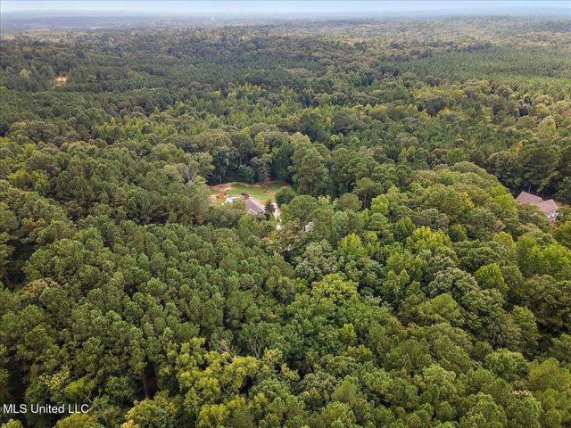 111 Thornton Place, Brandon, MS 39042