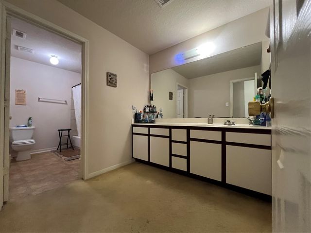 11738 Greensbrook Garden Drive, Houston, TX 77044