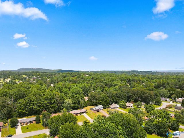 498 Marion Drive, Madison, AL 35758