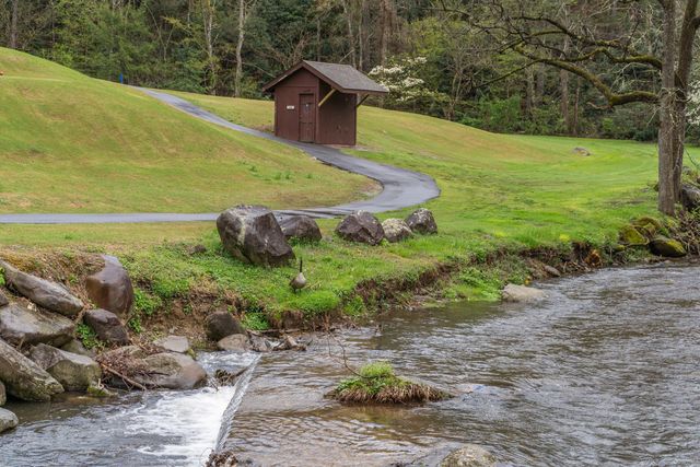 510 Wildflower Ridge Rd, Gatlinburg, TN 37738