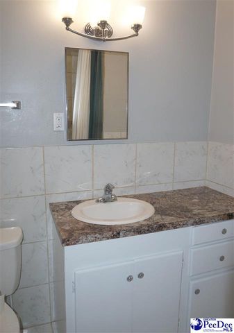 101 Sumter St, Manning, SC 29102