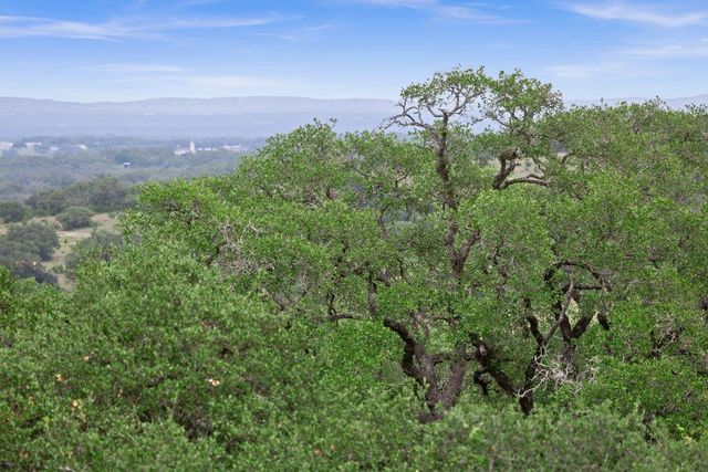 292 N Scenic Hills CT, Blanco, TX 78606