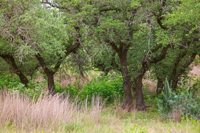 292 N Scenic Hills CT, Blanco, TX 78606