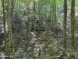 Lot 70 Hazelnut Lane, Sevierville, TN 37876