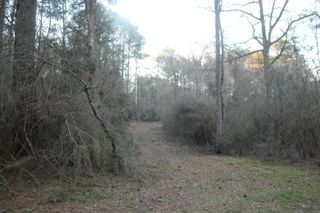 TBD Odeal Williams Ln, Ethel, LA 70730