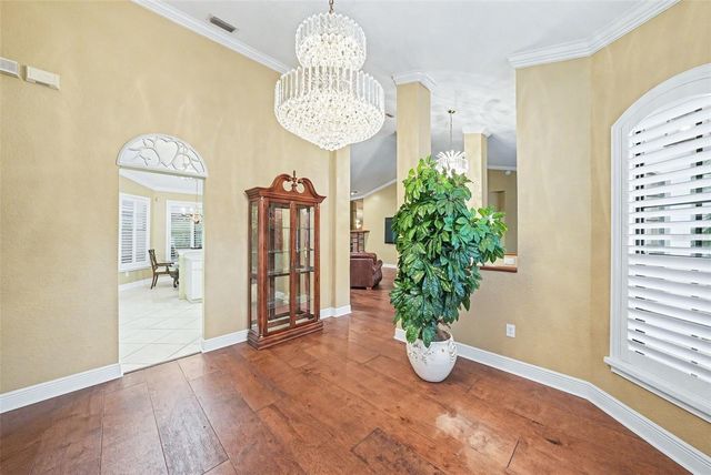 19216 RIDGELAKE DRIVE, Lutz, FL 33549