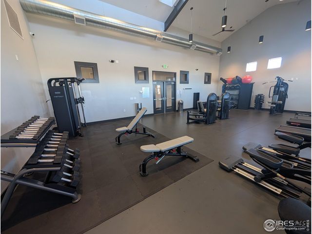 4303 Lacewood Ln, Johnstown, CO 80534