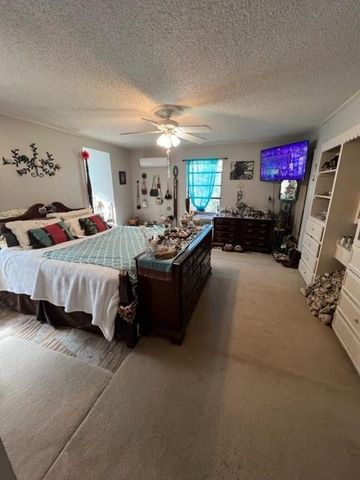 503 Nut Pines Drive, Village Mills, TX 77663