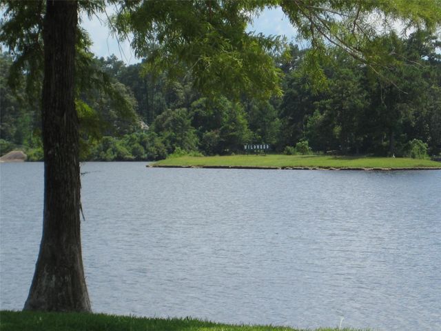 503 Nut Pines Drive, Village Mills, TX 77663