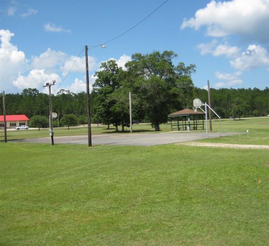 503 Nut Pines Drive, Village Mills, TX 77663