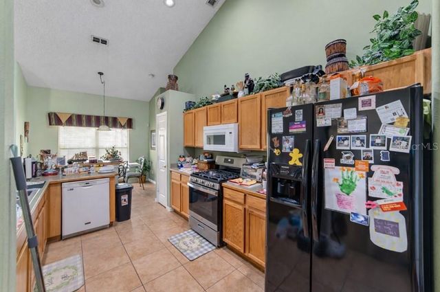 16142 MAGNOLIA HILL STREET, Clermont, FL 34714