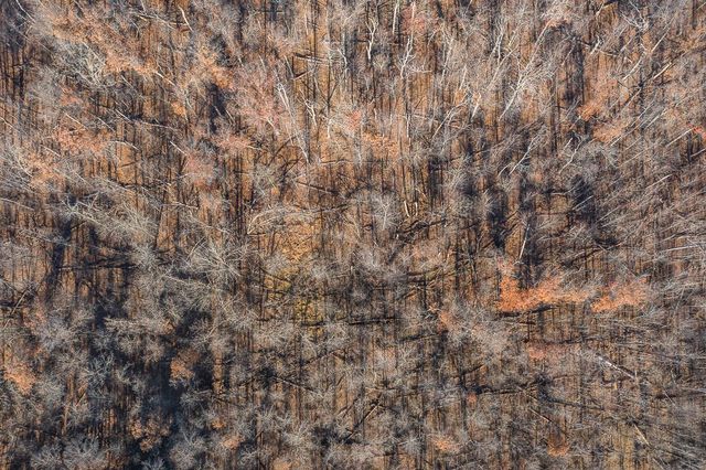 TBD Gull River Road, East Gull Lake, MN 56401