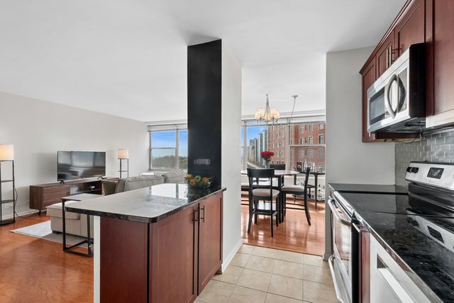 3900 N Lake Shore Drive 9B, Chicago, IL 60613