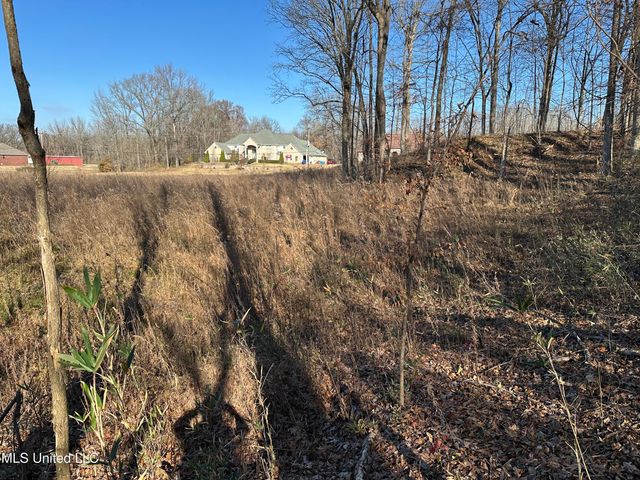 4889 Austin Road, Nesbit, MS 38651