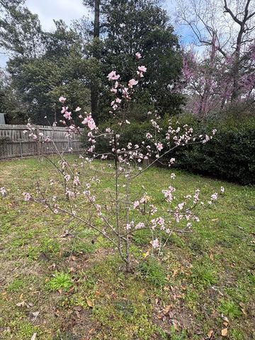 4174 Will Rhoades Drive, Columbus, GA 31909