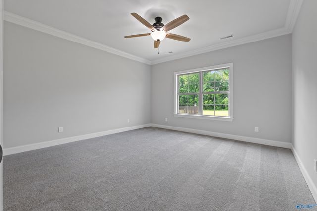 119 Timber Springs Court, Madison, AL 35756