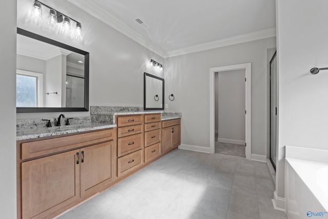 119 Timber Springs Court, Madison, AL 35756