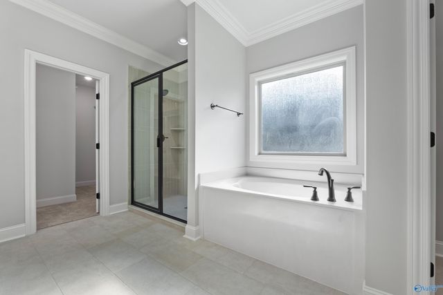 119 Timber Springs Court, Madison, AL 35756