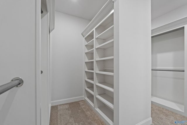 119 Timber Springs Court, Madison, AL 35756