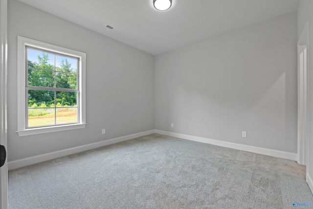 119 Timber Springs Court, Madison, AL 35756