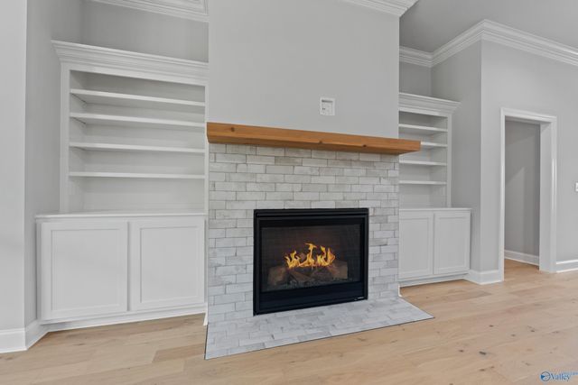 119 Timber Springs Court, Madison, AL 35756