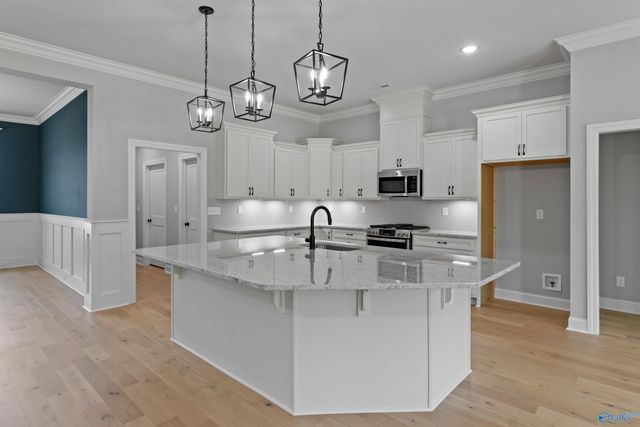 119 Timber Springs Court, Madison, AL 35756