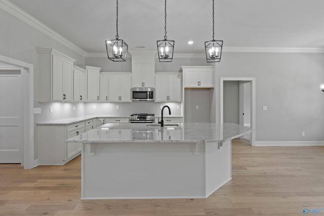 119 Timber Springs Court, Madison, AL 35756