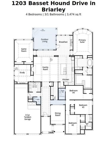 1203 Basset Hound Drive, Montgomery, TX 77316